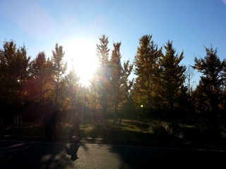 20131029_153933_1__