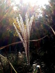 20131029_154145__