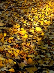 20131029_162811__