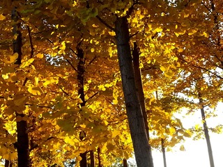 20131029_164454__