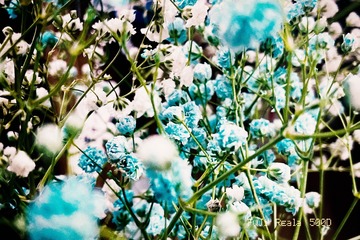 4F279E0F-9931-4BBD-B3EC-4E707C85118B/L0/001