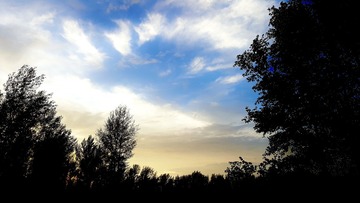 11A4F0FC-3B63-4F79-86B1-935D454AC689/L0/001