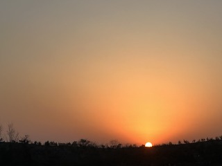 A31A1640-17B3-4F82-B777-2BBB4566B7E8/L0/001