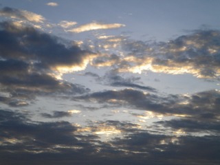 9C5CCE42-120D-4FE4-B555-D235BD2DCE13/L0/001
