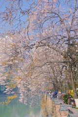 9C82CF50-974B-46EC-8BA5-FC18CAC6496F/L0/001