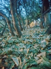 5394560
