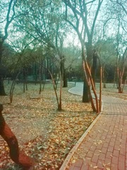 5394561