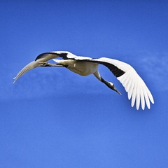 127705