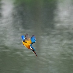 132056