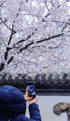 10652D04-8FA7-4512-AFA9-1F217D4E8FD6/L0/001