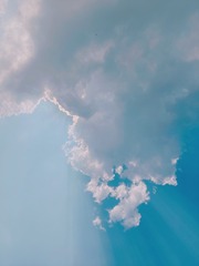 7557243B-33A0-4802-97E4-A14F3DDBB555/L0/001
