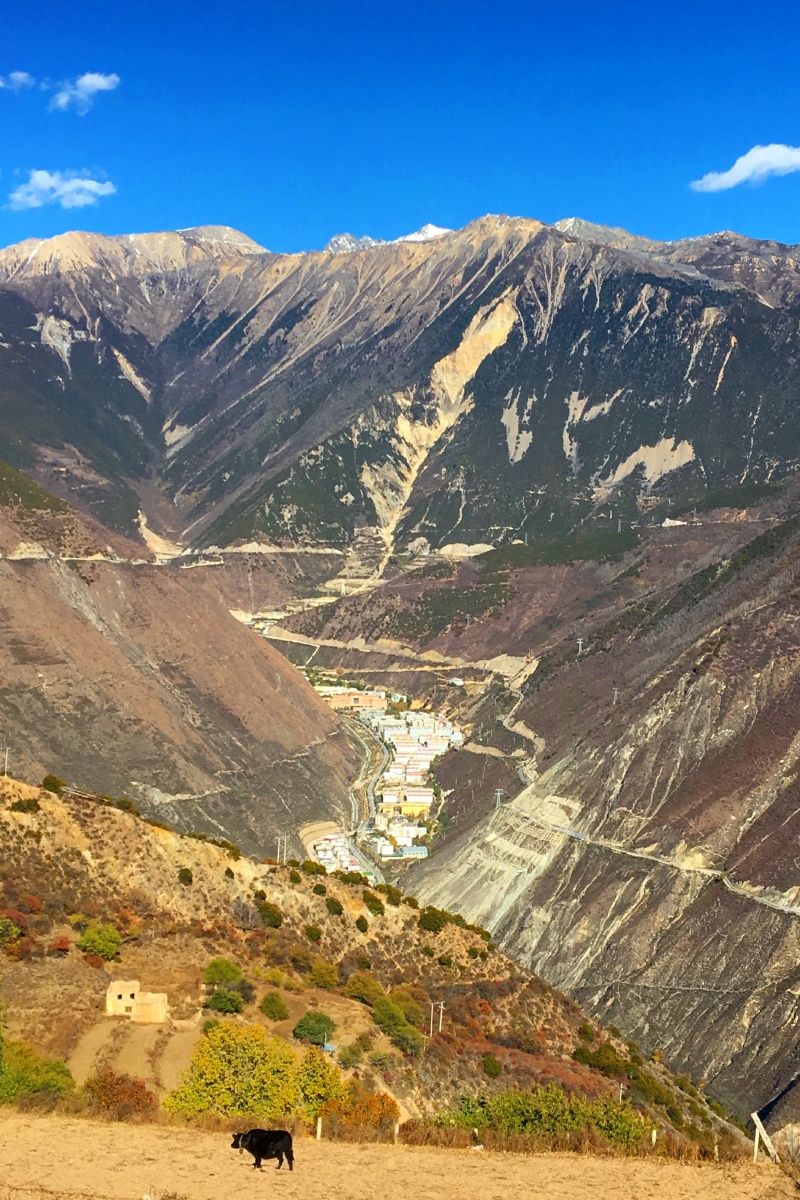 香格里拉德钦县城