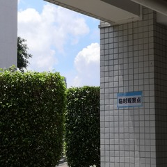 247523