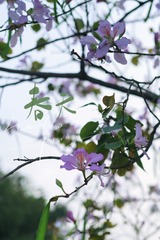 8CB8E01B-39B1-4391-A8D5-AA8D4767DF7D/L0/001