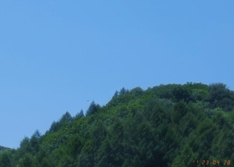 351D6DE2-F257-4DF1-A94A-A970857C0133/L0/001