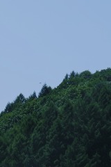 73755B9F-3940-47B2-A921-061630946999/L0/001