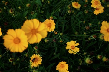 6598AC74-8D4D-4F47-AA09-6486DC7F2659/L0/001