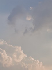 1000031334
