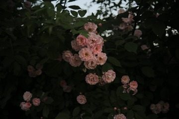 6F340899-51B3-48D5-8073-54D1F74D928B/L0/001