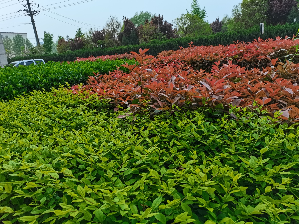 春天来了户外踏青绿色植物