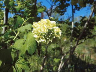 A2CB7F65-137F-438D-AAA2-9B3BE0D9DFF3/L0/001