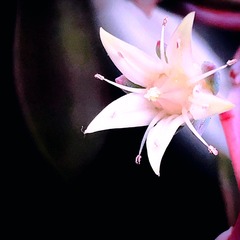 55B030A0-F830-4508-A3E3-2C2B538B8E66/L0/001