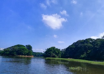 D3EC9B7C-70F9-4C66-9C9A-B36FB0F3BEAF/L0/001