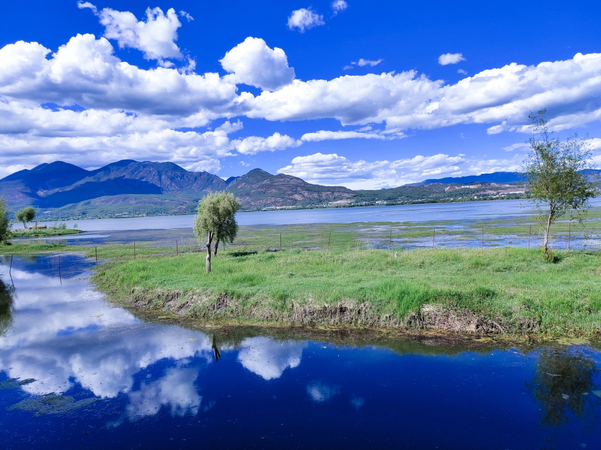 我们走过的路看过的风景都刻在心里当做回忆