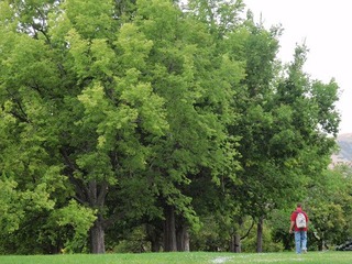 Soccer yard