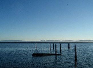 Bay Area