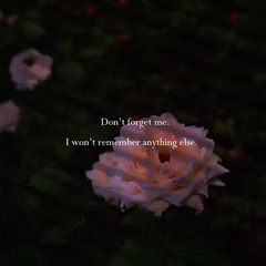 BDD00CF2-DC1E-4003-8C6B-9AF7BE778779/L0/001
