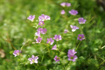 003A6EB4-DFC2-43D8-B760-6403F375C604/L0/001