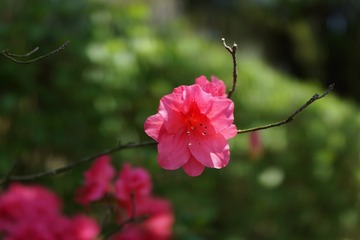 6E1041DA-6C77-462D-9326-F2D0CB7B0C0B/L0/001