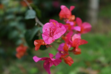 A9AD9DF3-EACE-4D46-AE7E-D040B696211D/L0/001