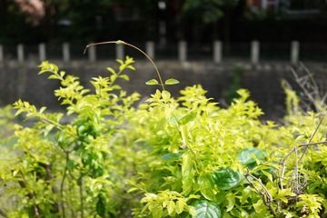 78874963-7592-46E3-B1A0-D1DD37217137/L0/001