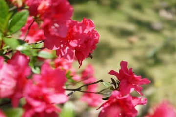 E5282DCE-750B-403B-AE2A-3F1A481FFDC1/L0/001