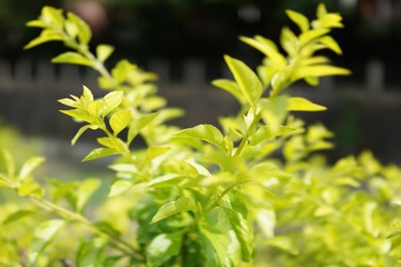 2DB72F0D-1386-4C91-873F-D6716A910D8B/L0/001