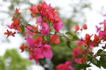 8DFBF412-763E-4CC1-B11C-75DBC95A9C7F/L0/001