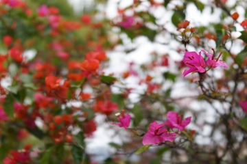 AB77B427-F9B5-4EC0-8A86-04A1F9650467/L0/001