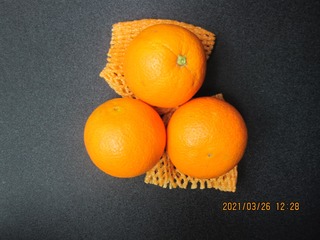 9C0E34BC-3CE5-4B32-9542-EEA55BC97D14/L0/001