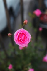 C1D19CC5-13A3-4FA6-8E95-61481D0ADCDF/L0/001
