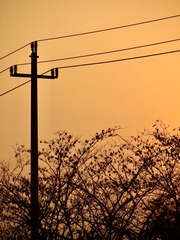 D51E3335-1842-410E-AA94-1FF2FD58462C/L0/001
