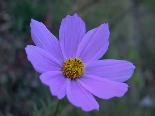 P1000272