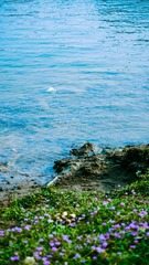 26A3A9E9-422B-40D8-946F-8F036F66E49F/L0/001