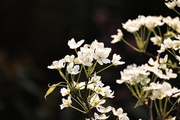 2S3A7619