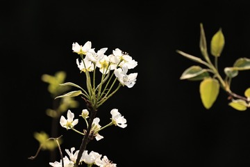 2S3A7621
