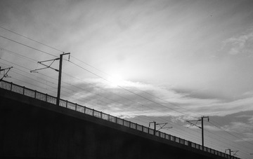 1000030312