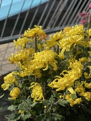 8DA78D45-BD41-4F08-AD31-3371D2ED06B9/L0/001