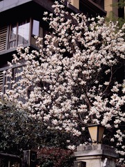 8F674D9A-5C2E-4319-8E4B-25155E34BC29/L0/001