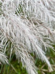 E4C74746-1CB1-4557-9A7C-AD4D82073A4F/L0/001